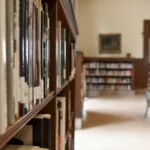 Selective Focus Photography of Bookshelf With Books